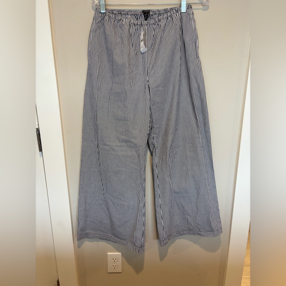 J. Crew Blue & White Pinstripe Wide-Leg Pants